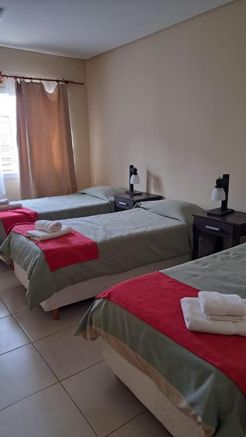 Newen Bed And Breakfast 厄尔查尔坦 外观 照片