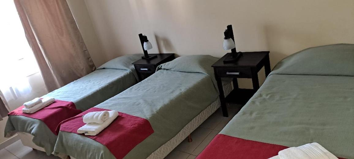 Newen Bed And Breakfast 厄尔查尔坦 外观 照片